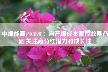中煤能源(601898)：自产煤成本管控效果凸显 关注高分红潜力和成长性