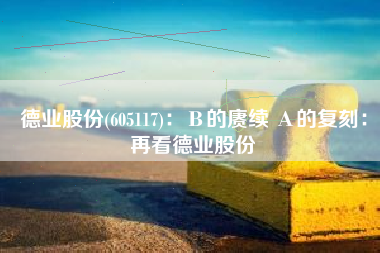 德业股份(605117)：Β的赓续 Α的复刻：再看德业股份