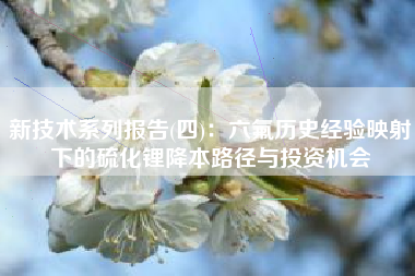 新技术系列报告(四)：六氟历史经验映射下的硫化锂降本路径与投资机会