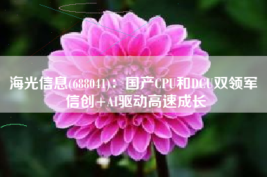 海光信息(688041)：国产CPU和DCU双领军 信创+AI驱动高速成长
