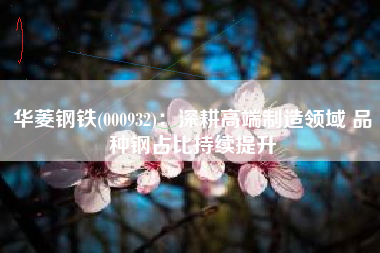 华菱钢铁(000932)：深耕高端制造领域 品种钢占比持续提升