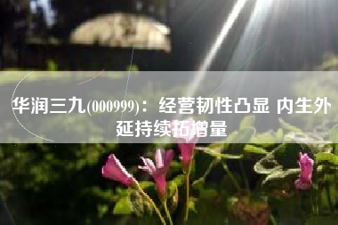 华润三九(000999)：经营韧性凸显 内生外延持续拓增量