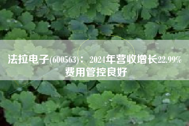 法拉电子(600563)：2024年营收增长22.99% 费用管控良好