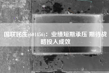国联民生(601456)：业绩短期承压 期待战略投入成效
