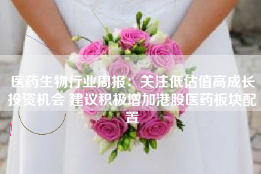 医药生物行业周报：关注低估值高成长投资机会 建议积极增加港股医药板块配置
