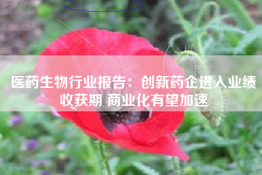 医药生物行业报告:创新药企进入业绩收获期 商业化有望加速 医药生物行业报告:创新药企进入业绩收获期 商业化有望加速