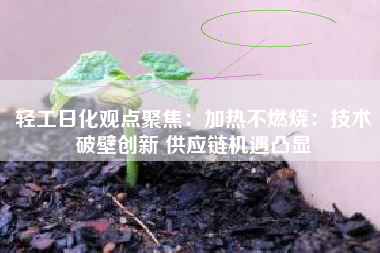轻工日化观点聚焦：加热不燃烧：技术破壁创新 供应链机遇凸显