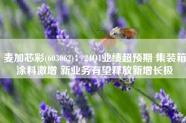 麦加芯彩(603062)：24Q4业绩超预期 集装箱涂料激增 新业务有望释放新增长极