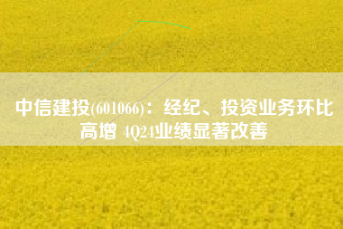 中信建投(601066)：经纪、投资业务环比高增 4Q24业绩显著改善