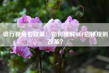 银行视角看政策：如何理解MLF招标规则改革？