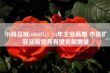 小商品城(600415)：24年主业高增 市场扩容及新业务有望贡献增量