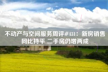 不动产与空间服务周评#431：新房销售同比持平 二手房仍增两成
