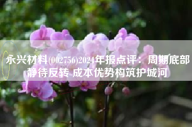 永兴材料(002756)2024年报点评：周期底部静待反转 成本优势构筑护城河