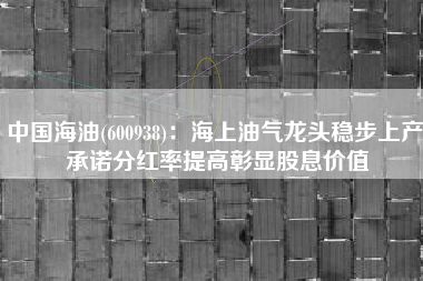 中国海油(600938)：海上油气龙头稳步上产 承诺分红率提高彰显股息价值