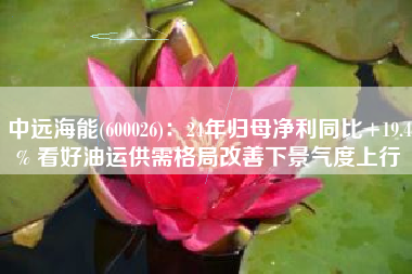 中远海能(600026)：24年归母净利同比+19.4% 看好油运供需格局改善下景气度上行