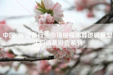 中国CMP设备行业市场规模测算逻辑模型头豹词条报告系列