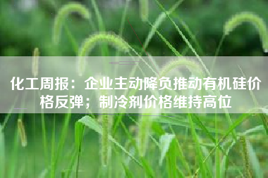 化工周报：企业主动降负推动有机硅价格反弹；制冷剂价格维持高位