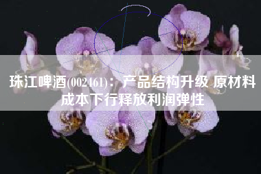 珠江啤酒(002461)：产品结构升级 原材料成本下行释放利润弹性