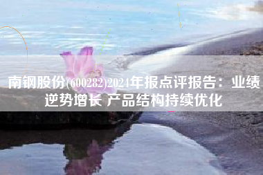 南钢股份(600282)2024年报点评报告：业绩逆势增长 产品结构持续优化