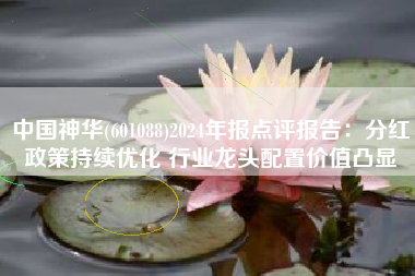 中国神华(601088)2024年报点评报告：分红政策持续优化 行业龙头配置价值凸显