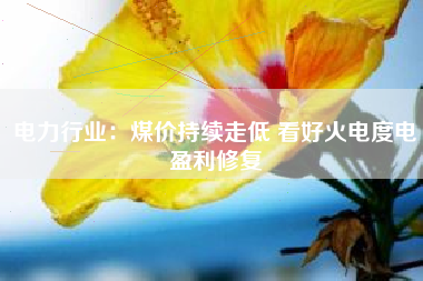 电力行业：煤价持续走低 看好火电度电盈利修复
