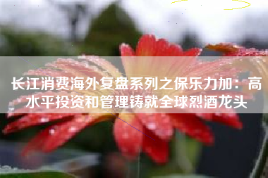 长江消费海外复盘系列之保乐力加：高水平投资和管理铸就全球烈酒龙头