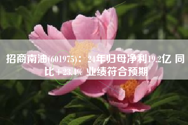 招商南油(601975)：24年归母净利19.2亿 同比+23.4% 业绩符合预期