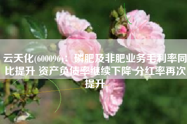 云天化(600096)：磷肥及非肥业务毛利率同比提升 资产负债率继续下降 分红率再次提升