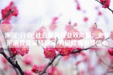 深度*行业*社会服务行业双周报：全年扩消费政策预期足 有望修复消费信心