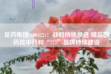 昆药集团(600422)：战略持续推进 精品国药昆中药和“777”品牌持续建设
