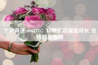 宁沪高速(600377)：软硬扩容赋能成长 业绩略超预期