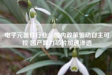 电子元器件行业：国内政策驱动自主可控 国产算力芯片加速渗透
