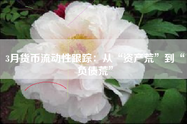 3月货币流动性跟踪：从“资产荒”到“负债荒”