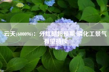 云天(600096)：分红略超预期 磷化工景气有望持续