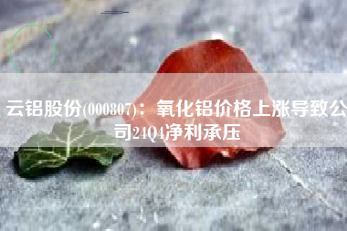 云铝股份(000807)：氧化铝价格上涨导致公司24Q4净利承压
