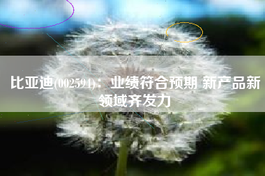 比亚迪(002594)：业绩符合预期 新产品新领域齐发力