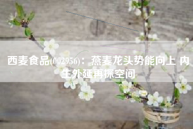 西麦食品(002956)：燕麦龙头势能向上 内生外延再探空间