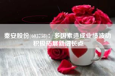 秦安股份(603758)：多因素造成业绩波动 积极拓展新增长点