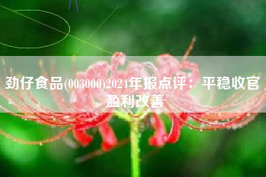 劲仔食品(003000)2024年报点评：平稳收官 盈利改善