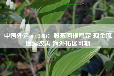 中国外运(601598)：股东回报稳定 现金流继续改善 海外拓展可期