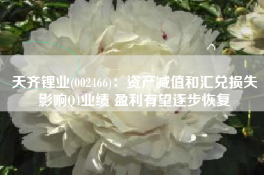 天齐锂业(002466)：资产减值和汇兑损失影响Q4业绩 盈利有望逐步恢复