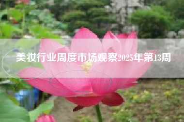 美妆行业周度市场观察2025年第13周