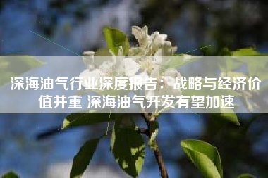 深海油气行业深度报告：战略与经济价值并重 深海油气开发有望加速