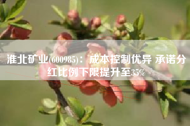 淮北矿业(600985)：成本控制优异 承诺分红比例下限提升至35%