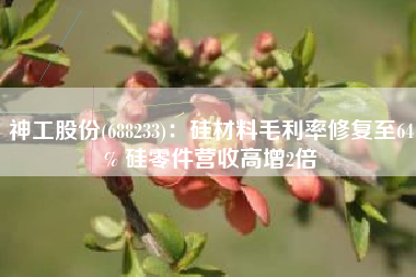 神工股份(688233)：硅材料毛利率修复至64% 硅零件营收高增2倍