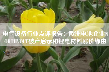 电气设备行业点评报告：欧洲电池企业NORTHVOLT破产启示和锂电材料涨价缘由