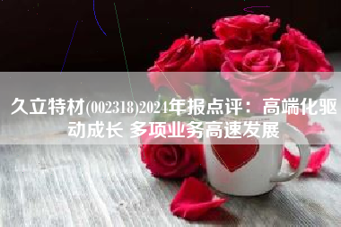 久立特材(002318)2024年报点评：高端化驱动成长 多项业务高速发展