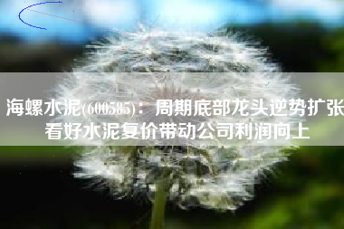 海螺水泥(600585)：周期底部龙头逆势扩张 看好水泥复价带动公司利润向上