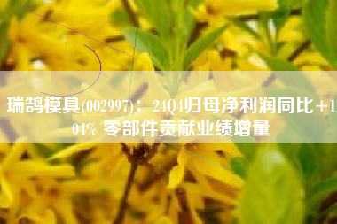 瑞鹄模具(002997)：24Q4归母净利润同比+104% 零部件贡献业绩增量