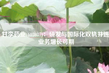甘李药业(603087)：研发与国际化双轨并进 业务增长可期
